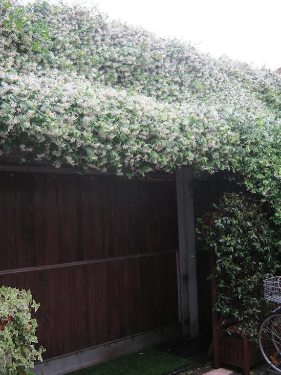 Bed and Breakfast Casa Di Carlo Goldoni - Dimora Storica Chioggia Zewnętrze zdjęcie